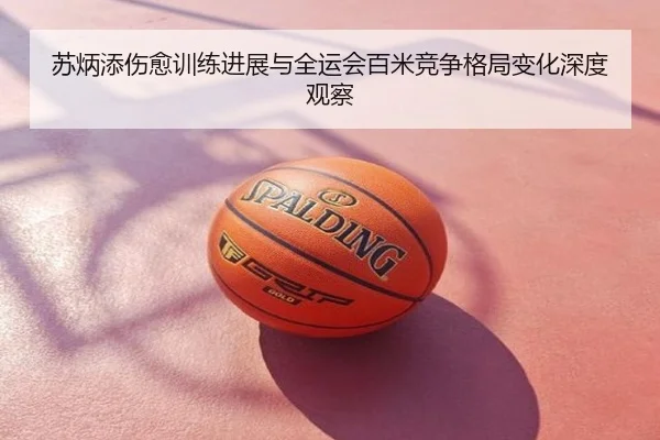 苏炳添伤愈训练进展与全运会百米竞争格局变化深度观察