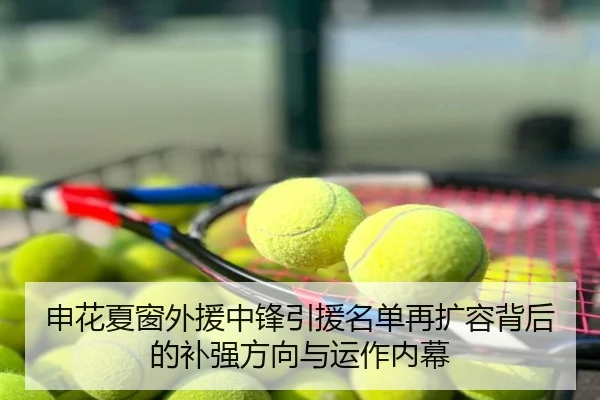 申花夏窗外援中锋引援名单再扩容背后的补强方向与运作内幕